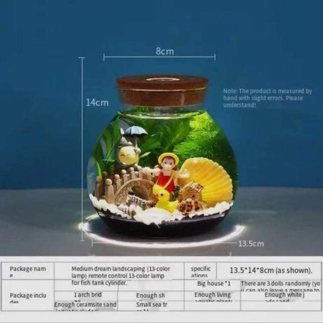 Acuario pequeño para peces, botella ecológica de vidrio para paisajismo, mirador, accesorios para acuarios: Package M