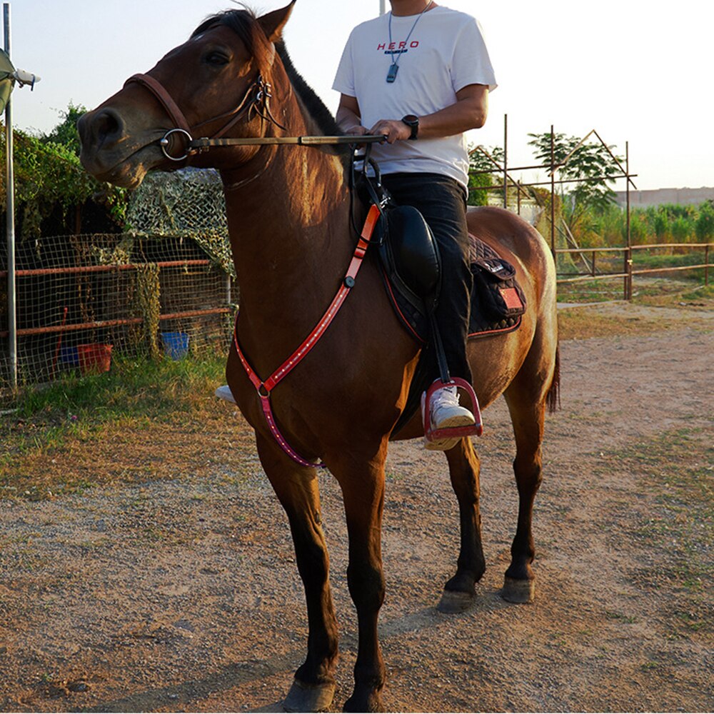 Arnés de cabeza de caballo de alta visibilidad, LED, cuello Halter, ajustable, reflectante, correa para el cuello