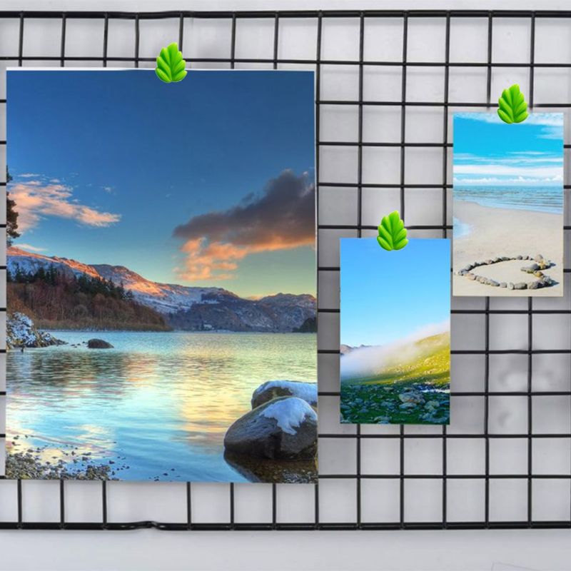 20 Stks/set Plastic + Metalen Punaises Kaart Pin Punaise Kurk Boord Voor Art Foto Puinhoop