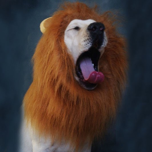 Hair Ornaments Pet dog Costume Halloween Clothes Fancy Dress Up Lion Mane Wig for Large Dogs supplies