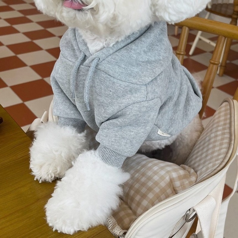 Warm Soft Fleece Hoodies for Small and Medium Dogs, Comfortable Puppy Clothes, Yorkshire Chihuahua Costumes, Pet Supply: XS（old） / WHITE