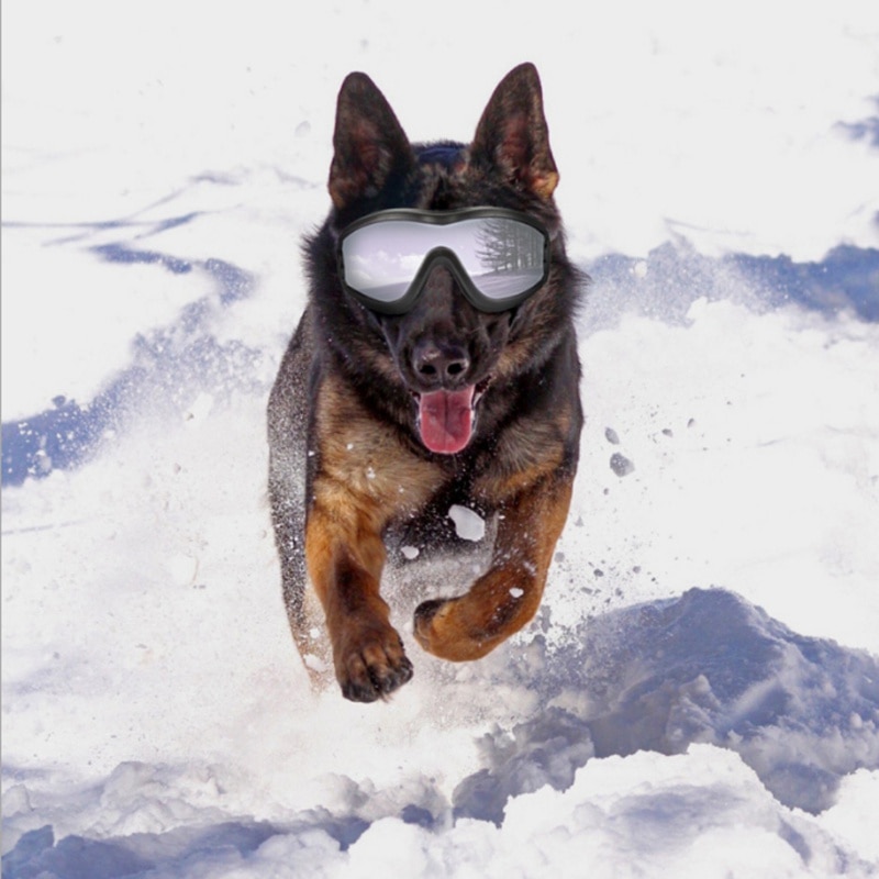 Cool Hond Zonnebril Uv-bescherming Winddicht Goggles Pet Eye Dragen Medium Grote Hond Zwemmen Schaatsen Bril Accessaries