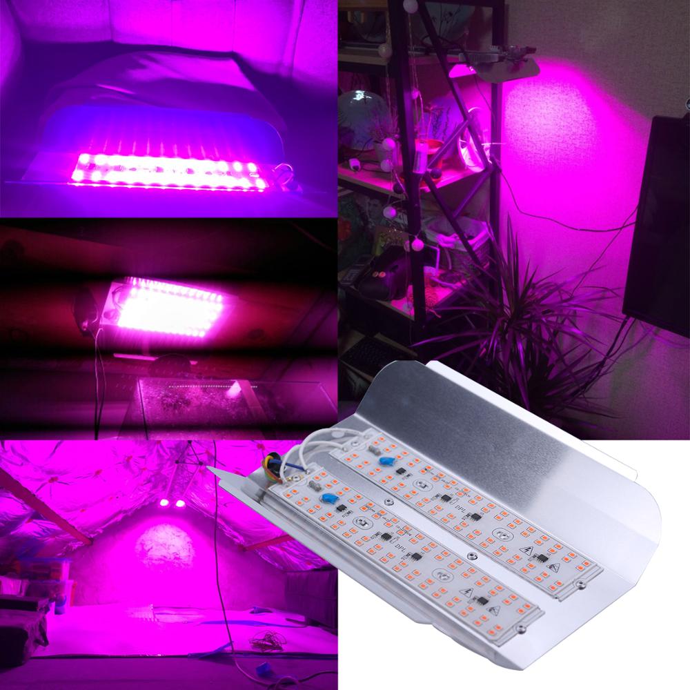 Borbede vokse lys 50w/100w 220v/110v fuldspektrum indendørs led plante vokse lys vandtæt oversvømmelseslys eu us stik