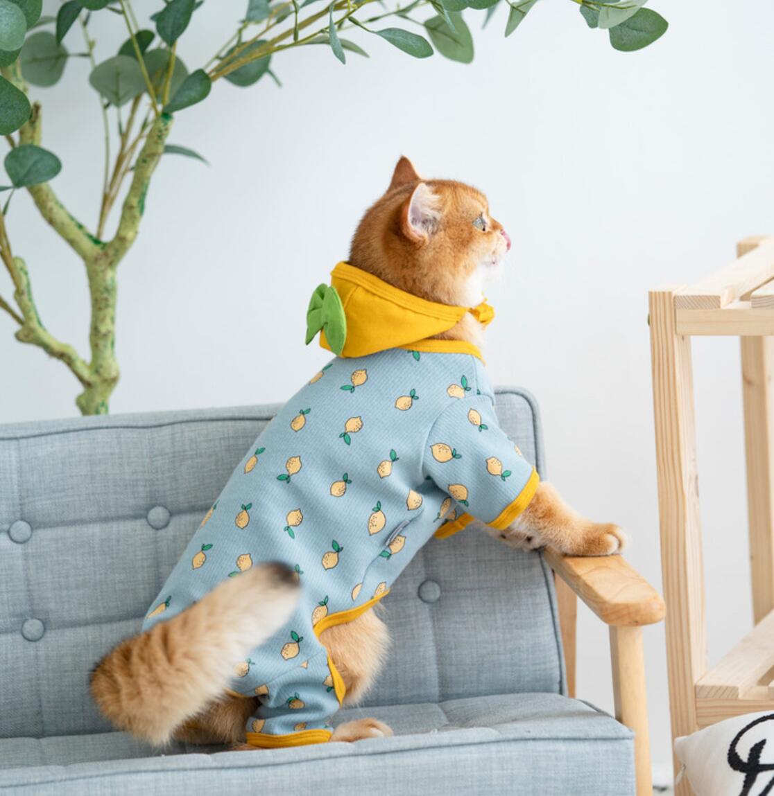Ropa de invierno para gatos, abrigo para cachorros y gatitos, chaqueta para perros pequeños y medianos, C