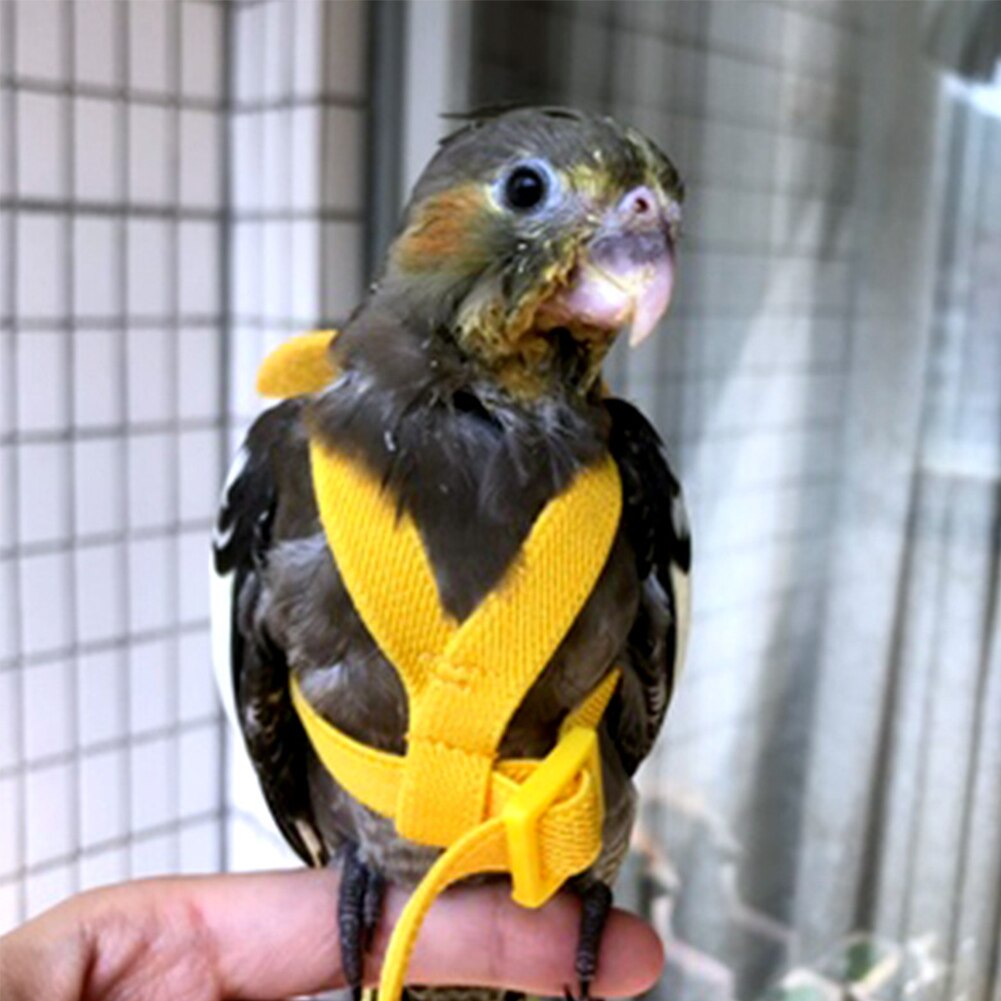 Calopsitte oiseau harnais longueur réglable Ultra léger corde d'entraînement Anti perdre perroquet laisse avec boucle pour aras vol extérieur