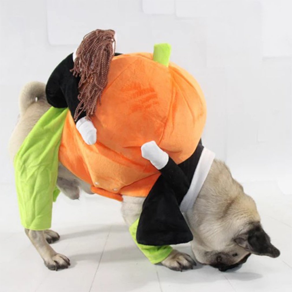 Sjovt cosplay kæledyr hundedragt græskardragt halloween tøj til hunde fest påklædning hundetøj kat tøj disfraz perro