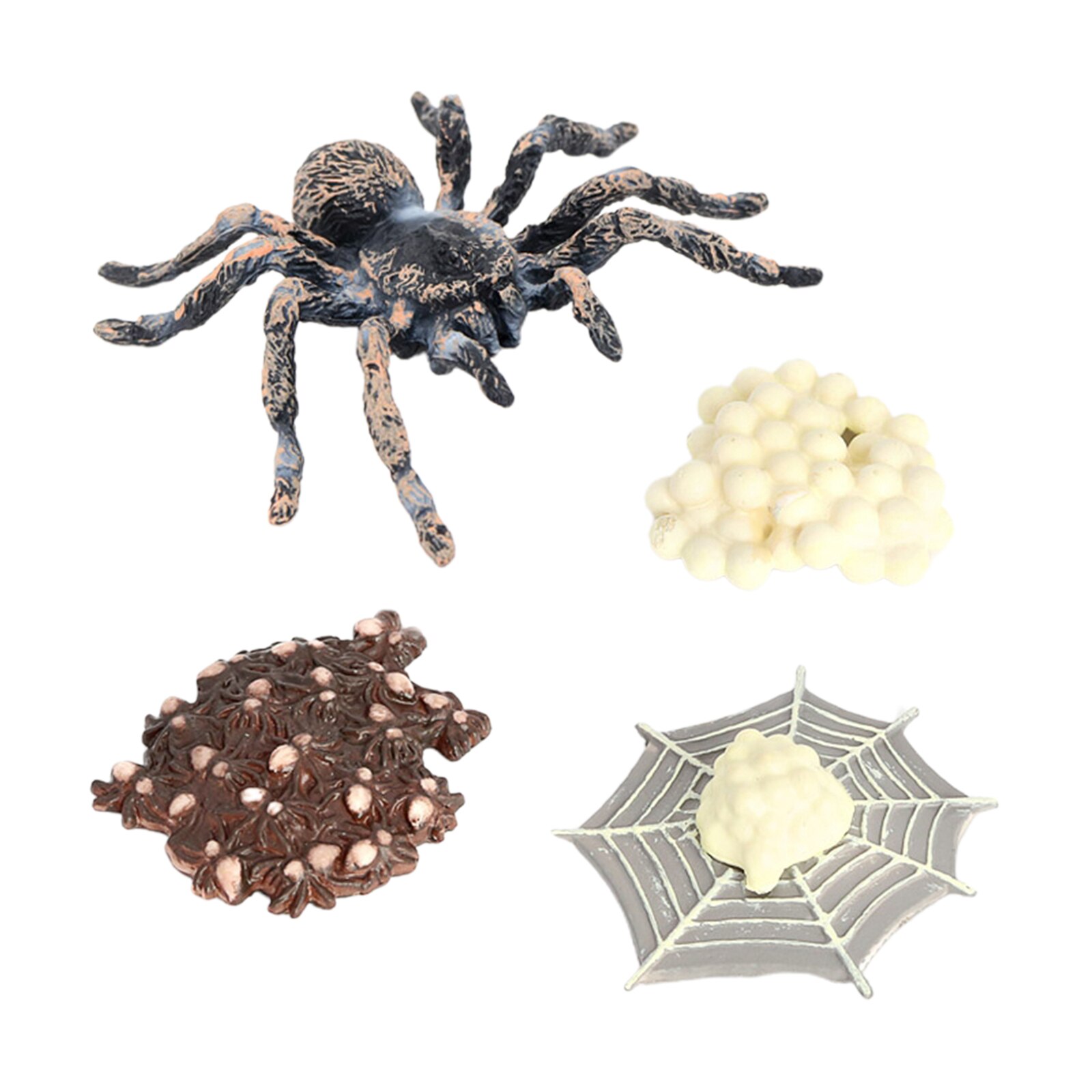4 Pieces Nature Giant Whiteknee Spider Growth Toy Animal Growth