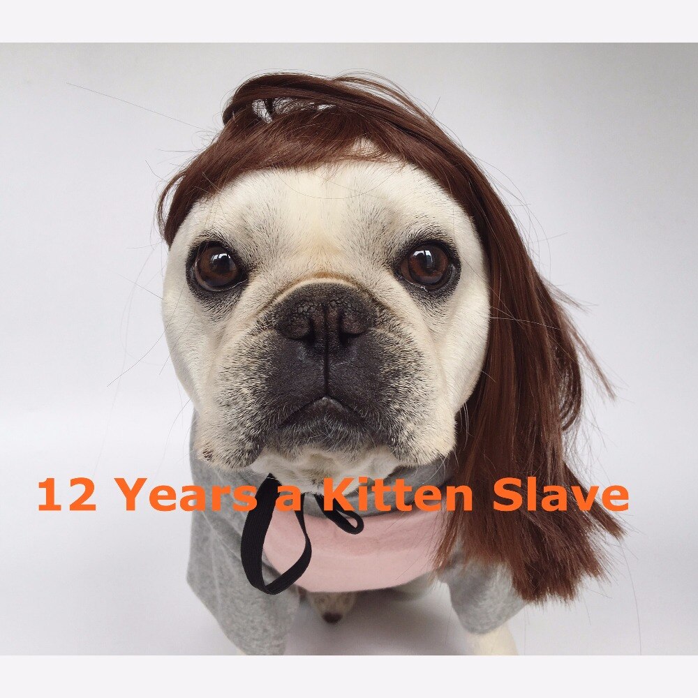 Pet Wig, French Bulldog Funny Wig Dog Wig