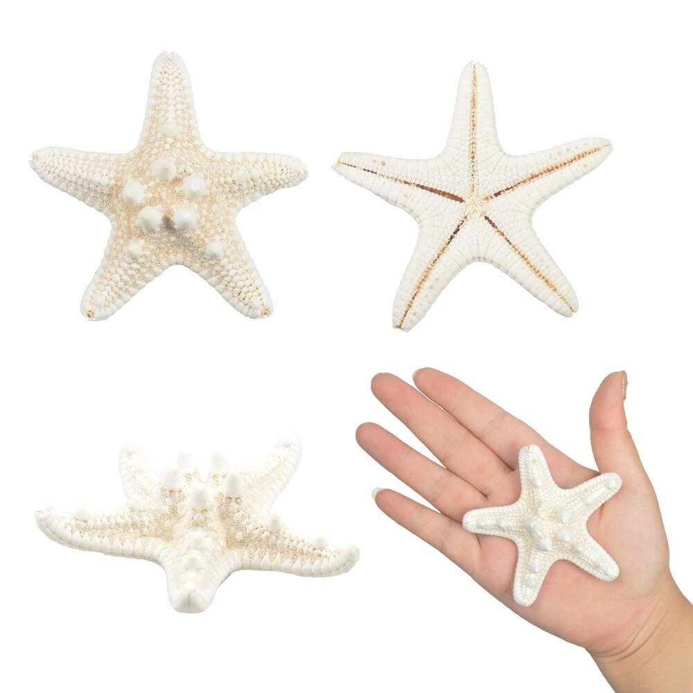 10PCS Starfishes Ocean Beach Starfish for Wedding Decor Beach Theme Party, Home Decorations,DIY Crafts, Fish Tank: 1