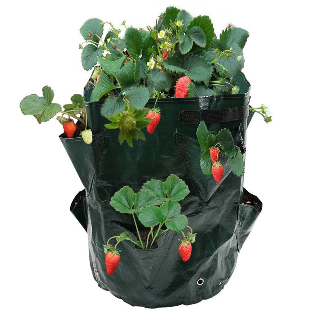 Vegetable Pot Flower Pot Plant Garden Grow Bag Strawberry Grow Planter Pouch Pot Vegetable Strawberry Grow Bag Jardineria D30