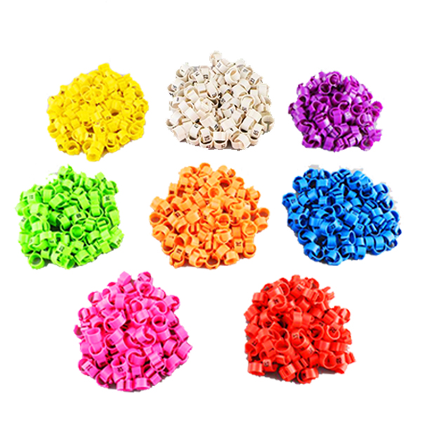 Pata 100 Uds anillos púrpura aves loro anillo para pata mascotas Cockerel Pet suministros Gadget bandas para las piernas pájaro