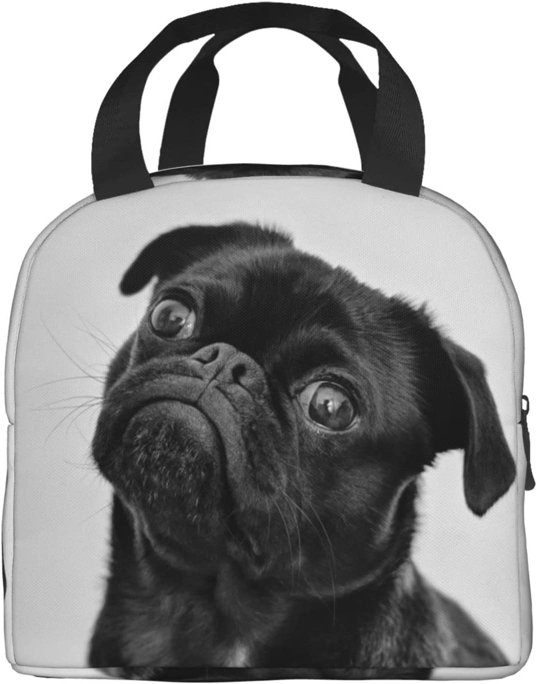 Lunch Bag Cute Pug Dog Lunch Box Insulated Bag Tote Bag For Men/Women Work Travel: Gold