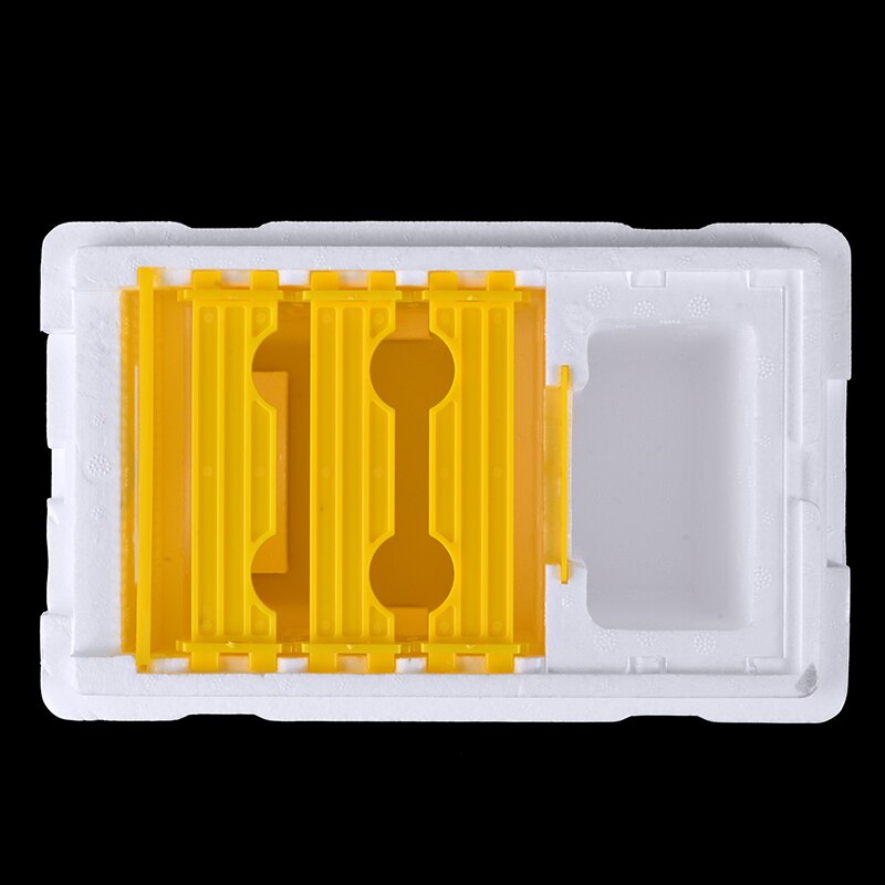 24cm Bee Hive Box Harvest Beehive Pollination Beekeeping Auto Honey Beehive Frame Box for Bee Mating Copulation Beekeeping Tool