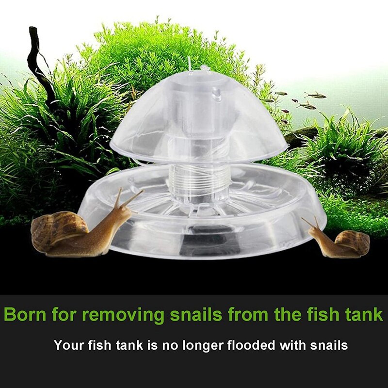 Piège à escargot pour Aquarium 6cm, 2 pièces, en plastique transparent, attrape-sanglier planaire