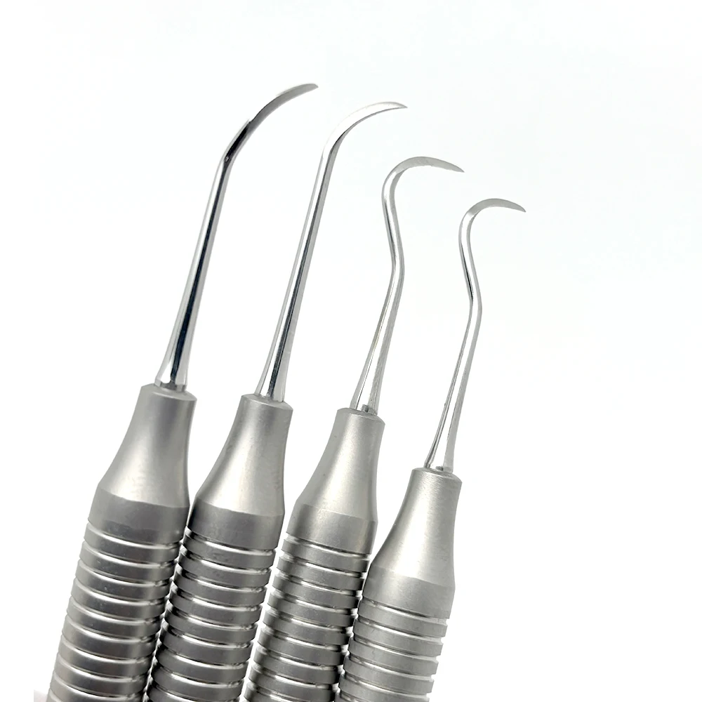 4Pcs/set Dental Tooth Scaler Kit Dental Double-Ended Teeth Cleaning Tool Stainless Steel Dentistry Instrument Tools