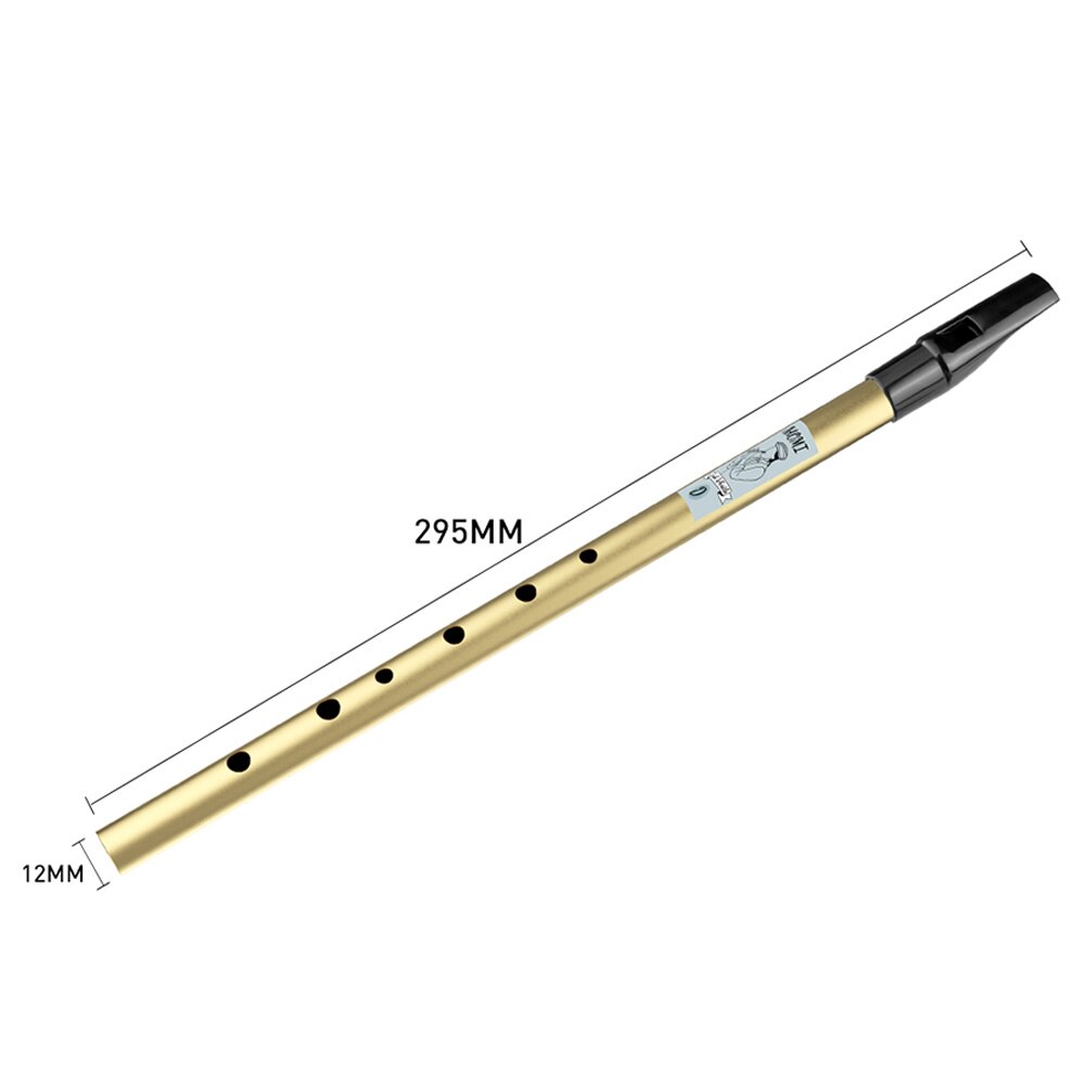 NAOMI 6 Holes Tin Whistle Traditional Irish Penny Whistle Brass Material Musical Instrument for Beginners, Key of D