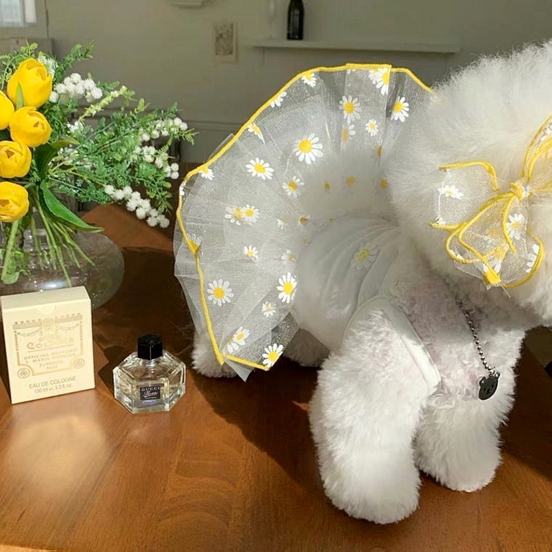 Vestido de verano para perros, ropa para cachorros, falda de princesa Margarita bonita, disfraz refrescante para perros Chihuahua Bichon, ropa para mascotas, vestidos para perros y gatos: XS / Negro