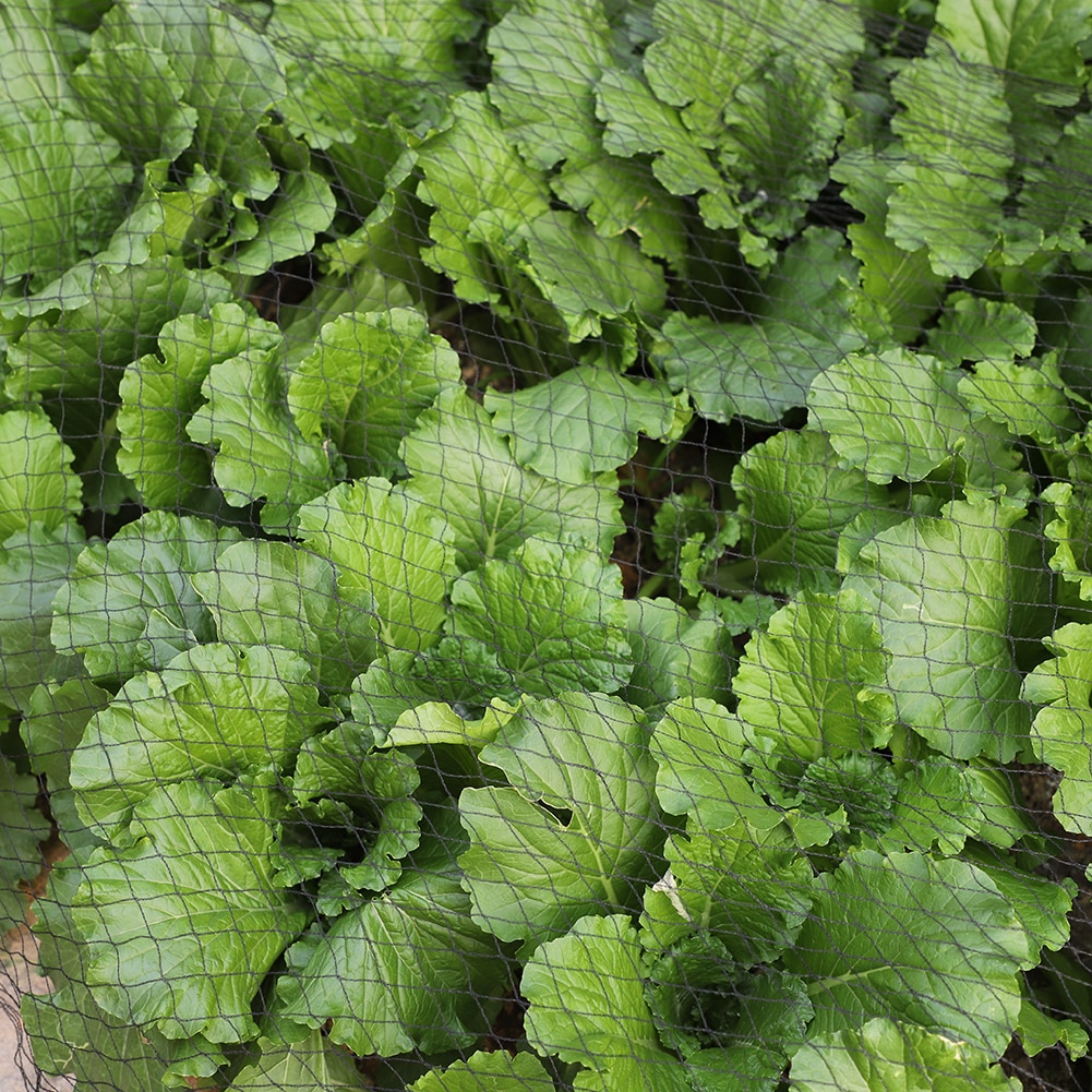 Pond Protectors Floating Garden Pond Plastic Net Guard Pond Netting Crops Fruit Tree Vegetables Flower Garden Mesh