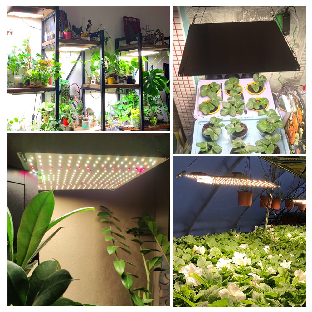 65 W Volledige Spectrum Groeilamp Met 5 Lichtkleuren LM281B LED Plant Licht Voor Kas Bloem en Plantengroei Verlichting