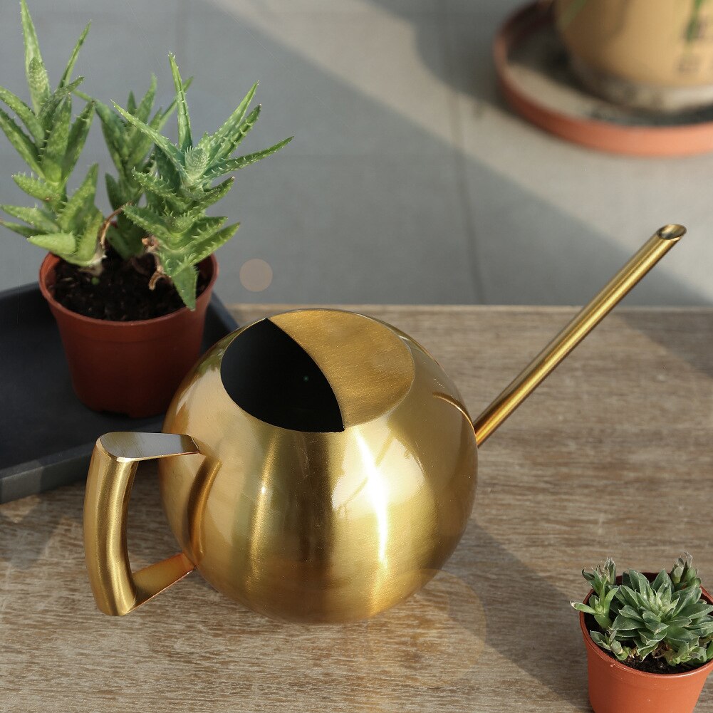 1L Rvs Gieter Tuinieren Ingemaakte Kleine Gieter Met Handvat Voor Watering Planten Bloem Tuin Gereedschap