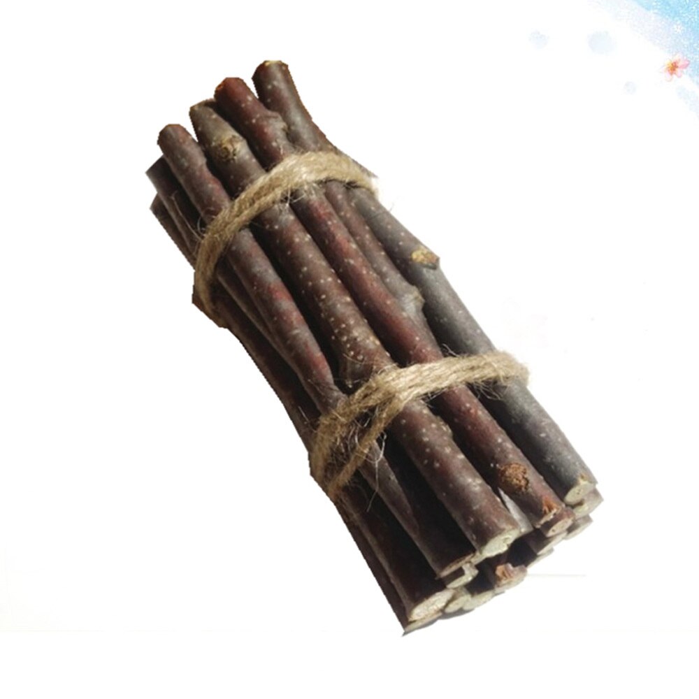 10 pièces 15CM Simulation de noël bricolage pommes de pin bâtons Branches sèches bâtons en bois pour bricolage artisanat accessoires Photo: Size 3