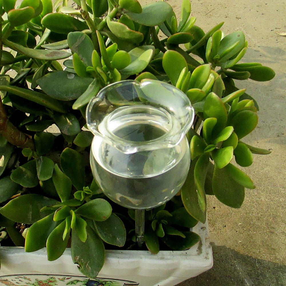 Automatische Bloem Glas Indoor Tuin Clear Plant Watering Apparaat Sprinkler Glas Plant Bloem Automatische Watering Feeder # T2P