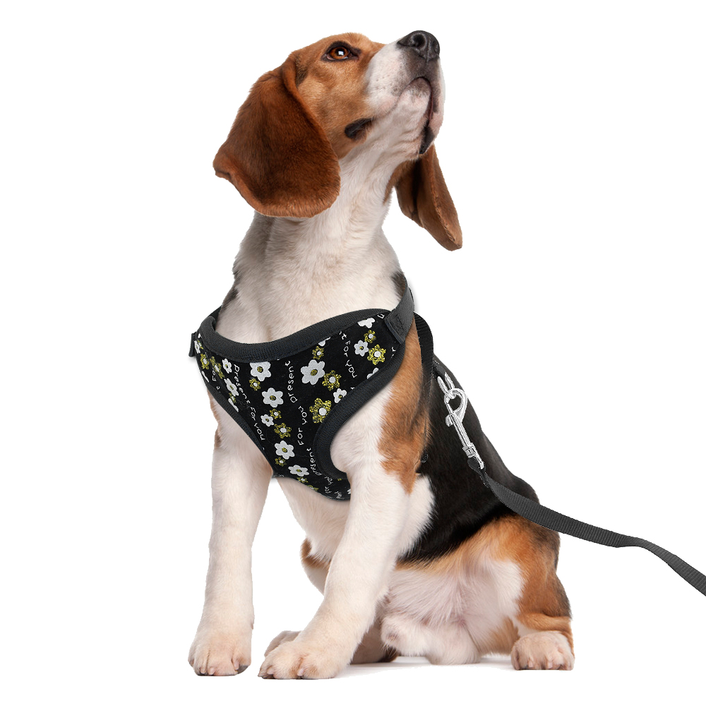 Cute Cat Harness and Leash Set Mesh Kitten Puppy Vest Chihuahua Yorkies Mesh Pet Clothes For Small Dogs Cats Flower Pattern: Black / L