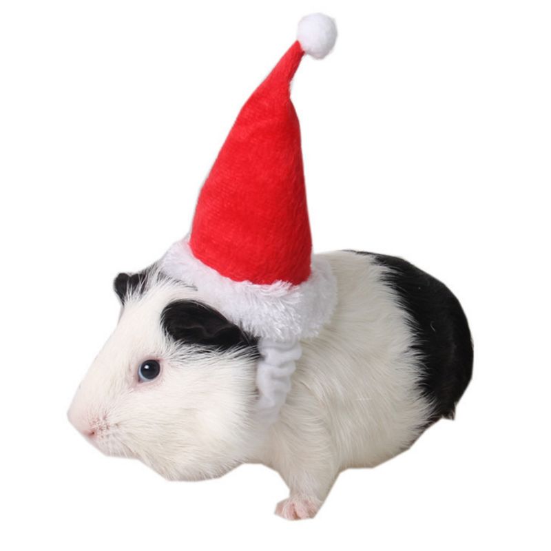 Kæledyr julemanden hat kanin hamster marsvin rotter jul cap små dyr hoved tilbehør