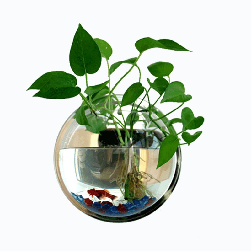 Hanging Fish Tank, Wall Hanging Aquarium Ecological Mini Round Mirror Small Goldfish Tank Wall Decoration: mirror 23cm