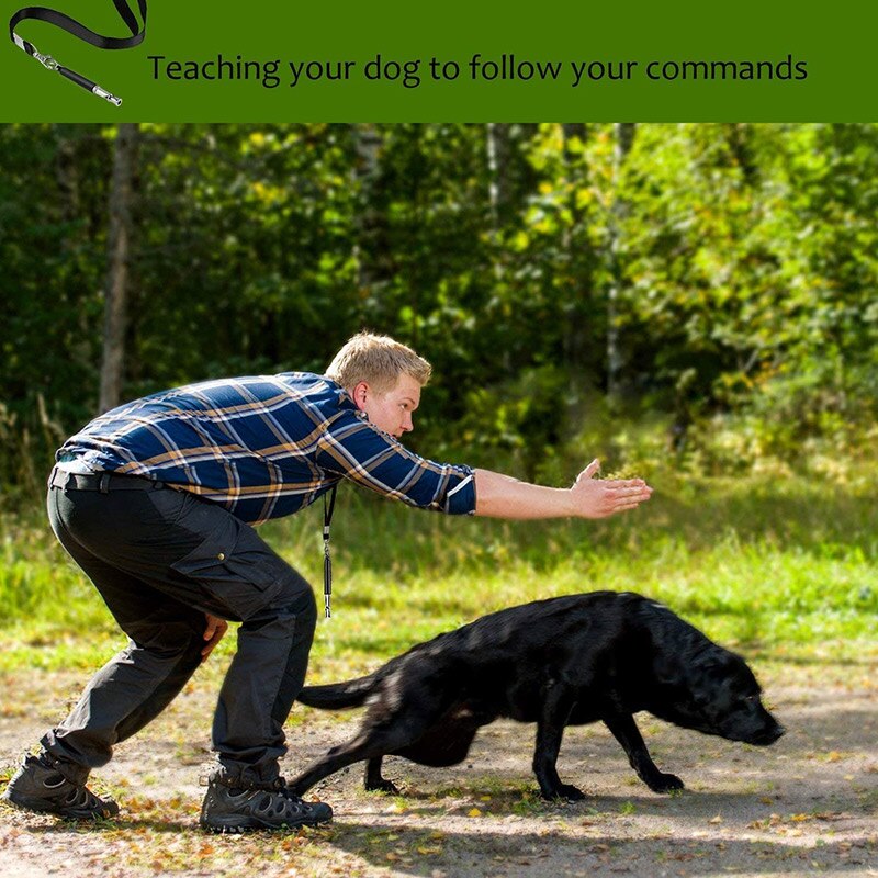 Dog Whistles Adjustable Tone to Prevent Barking Dog Training Whistles Training Tool with Black Leash MD7