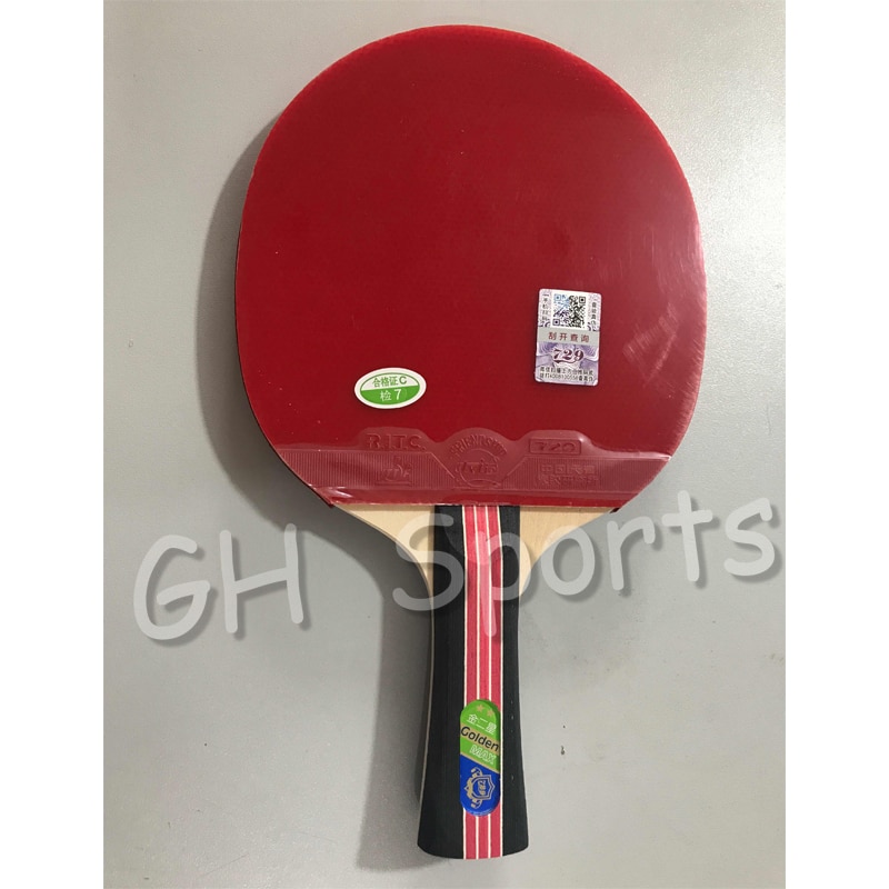 Friendship – raquette de Tennis de Table 729 originale, avec caoutchouc et sac, ensemble de Ping-Pong