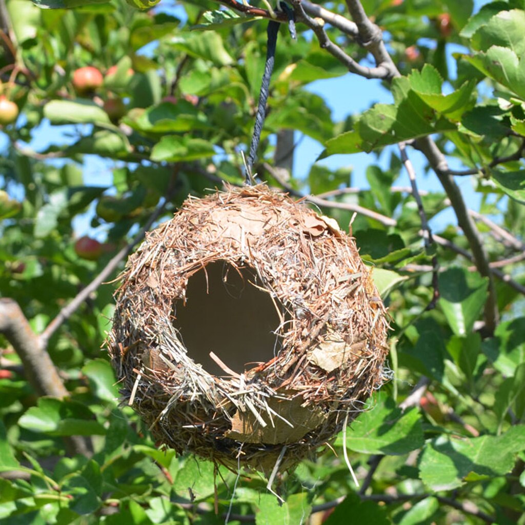 Natural Handmade Straw Grass Bird Nest Warm Breeding Hatching Bed House Cage Assorted Designs: Gray