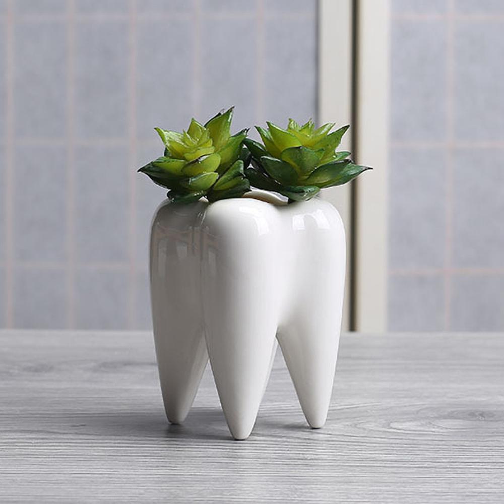 Teeth Shape Ceramic Flowerpot Innovation Modern White Ceramic Succulent Flower Pot