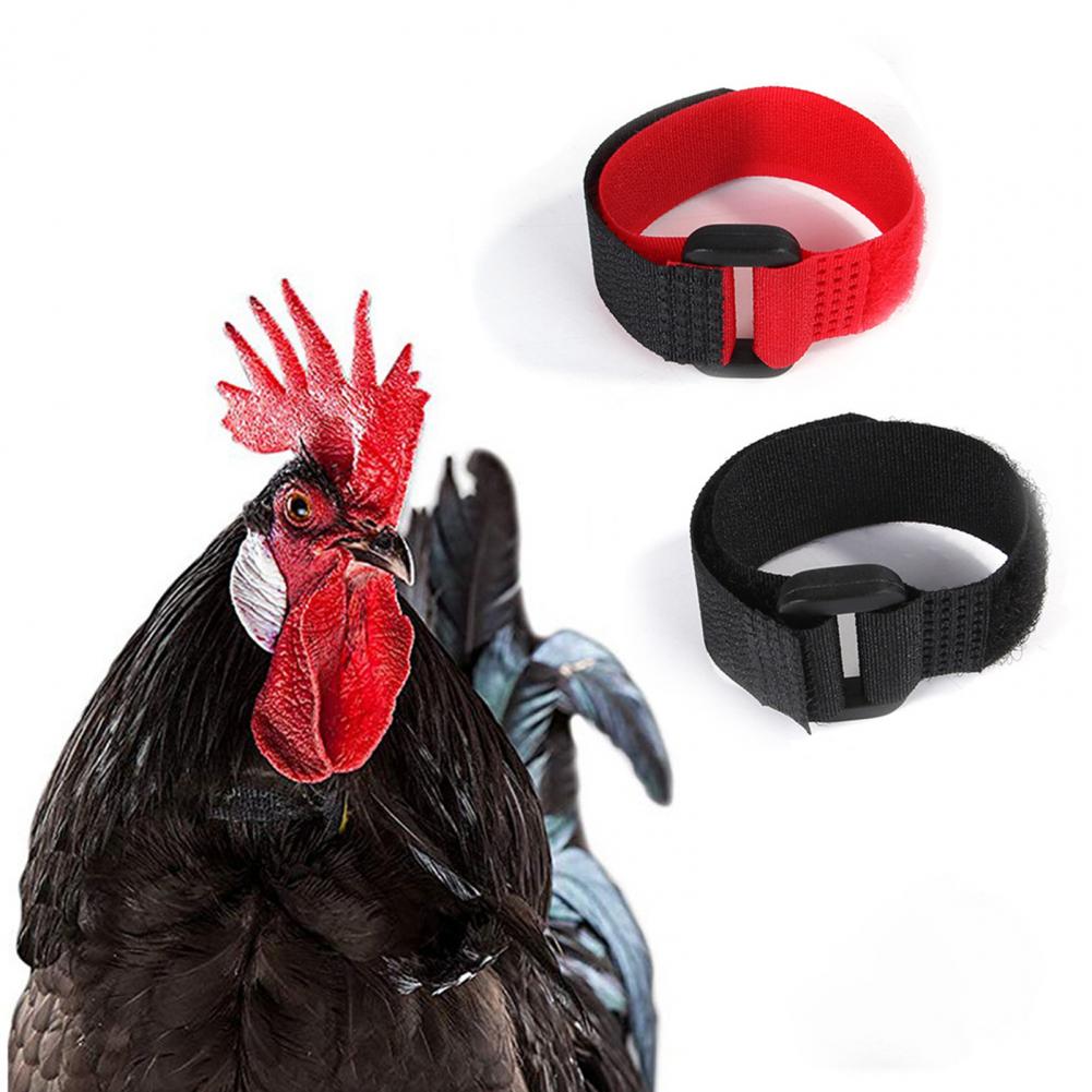 2 Stuks Kip Kraag Anti Crow Noise Gratis Haan Riem Verstelbare Gesp Pluimvee Supplies Voor Eenden Farm Animal Levert
