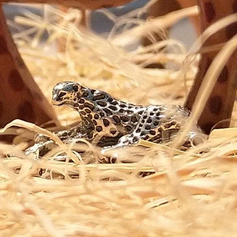 925 sterlina d'argento troll Del Leopardo in Forma di Blocco Faerybeads Bracciale incantesimi perline FAI DA TE per la produzione di gioielli regalo di amore