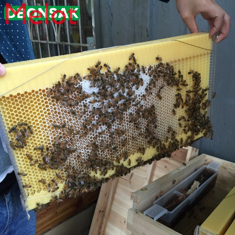 Automatische Honing Collection Nest Frame Imker Bijenkorf Food-Grade Plastic Honingraat Blok Bee Milt Box Bijenteelt Gereedschappen
