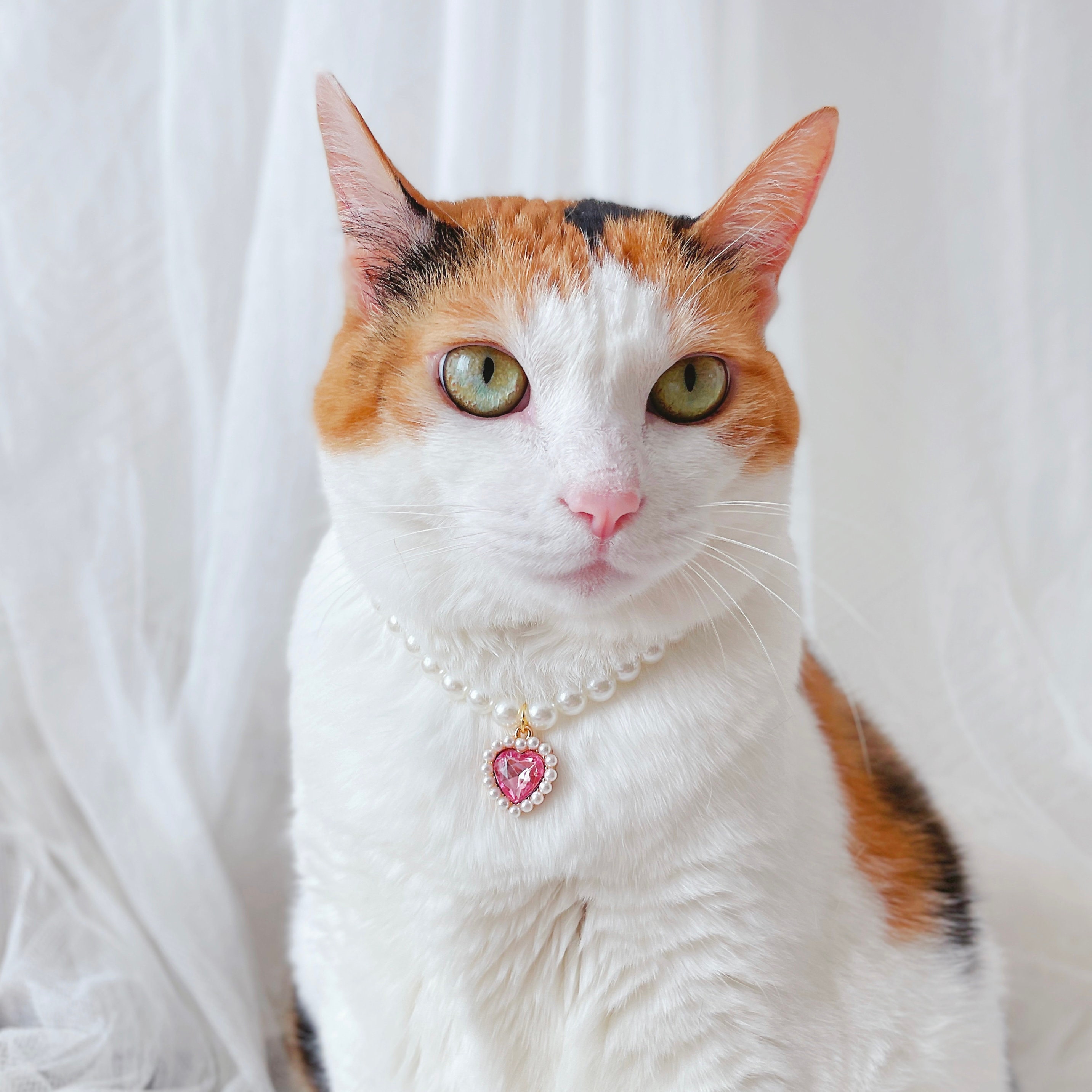 TONG luxe perle collier pour animaux de compagnie chat chien collier amour pendentif fournitures pour animaux de compagnie amour cristal collier chaton collier chat collier
