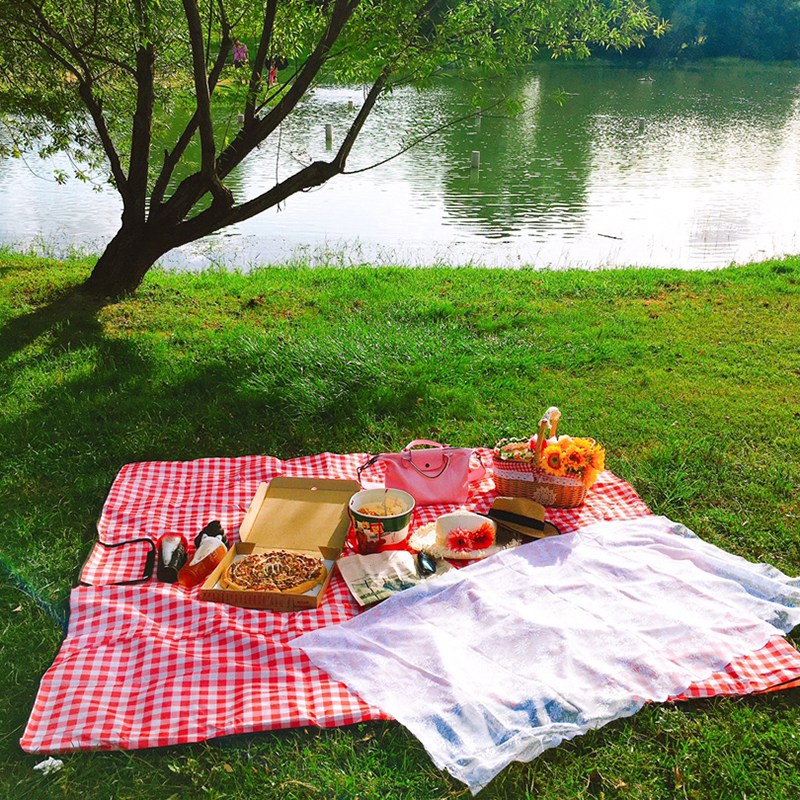 Land Stil Weide Picknick Korb Korb mit Deckel und Griff & Liner für Picknicks, Parteien und Grillabende