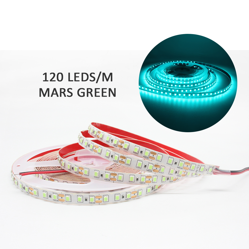 Bande lumineuse LED 12V DC SMD 2835 120LED s/M 1M 2M 3M 4M 5M bande LED Tira blanc 240LED s/M éclairage intérieur Flexible pour la maison: Vert foncé / 4 m