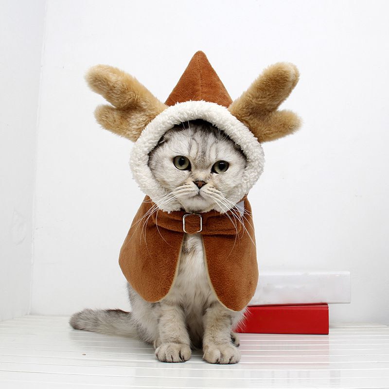 Julekat tøj hættejakke til katte sjovt forår festival kappe påklædning tøj åredragt