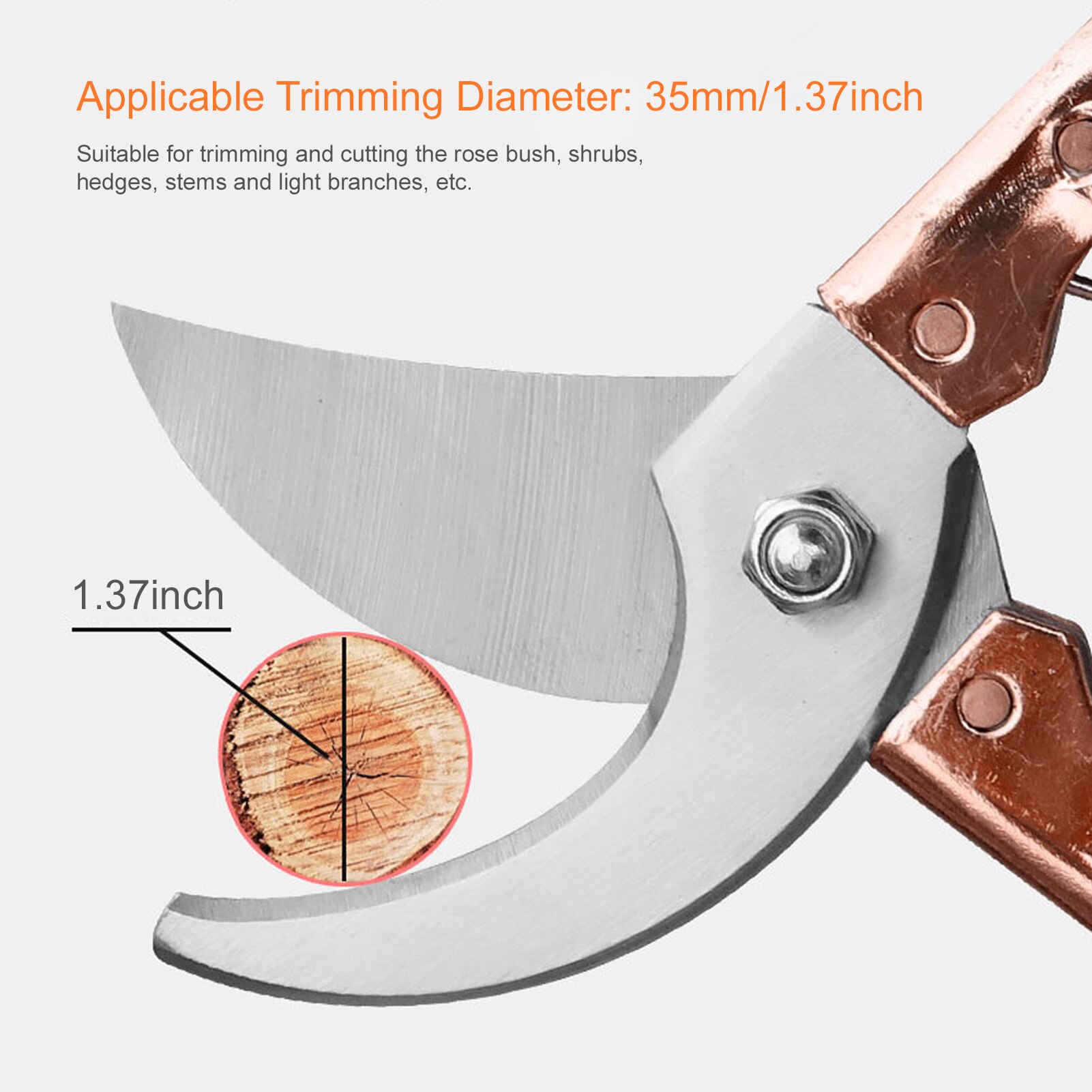 Plant Trim Horticulture Hand Pruner Cut Secateur Shrub Garden Scissor Garden Tools Anvil Branch Shear Orchard Pruning Shears