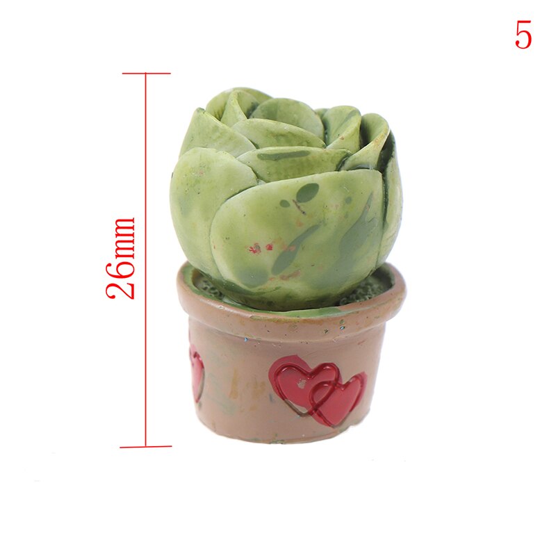 Dollhouse Succulent Plant Office Resin Desktop Birthday Flower Home Decor Craft DIY Miniature Ornament Furniture Toys: 5