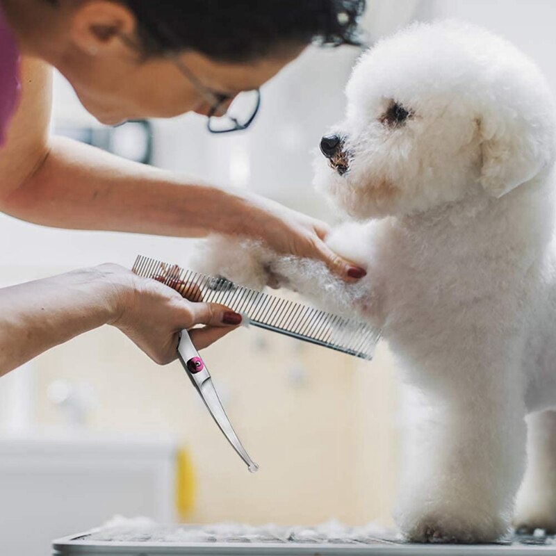 3 Pack Hond Grooming Schaar Kit Met Veiligheid Ronde Tip Dunner Blikscharen Met Pet Grooming Kam Voor Honden en Katten