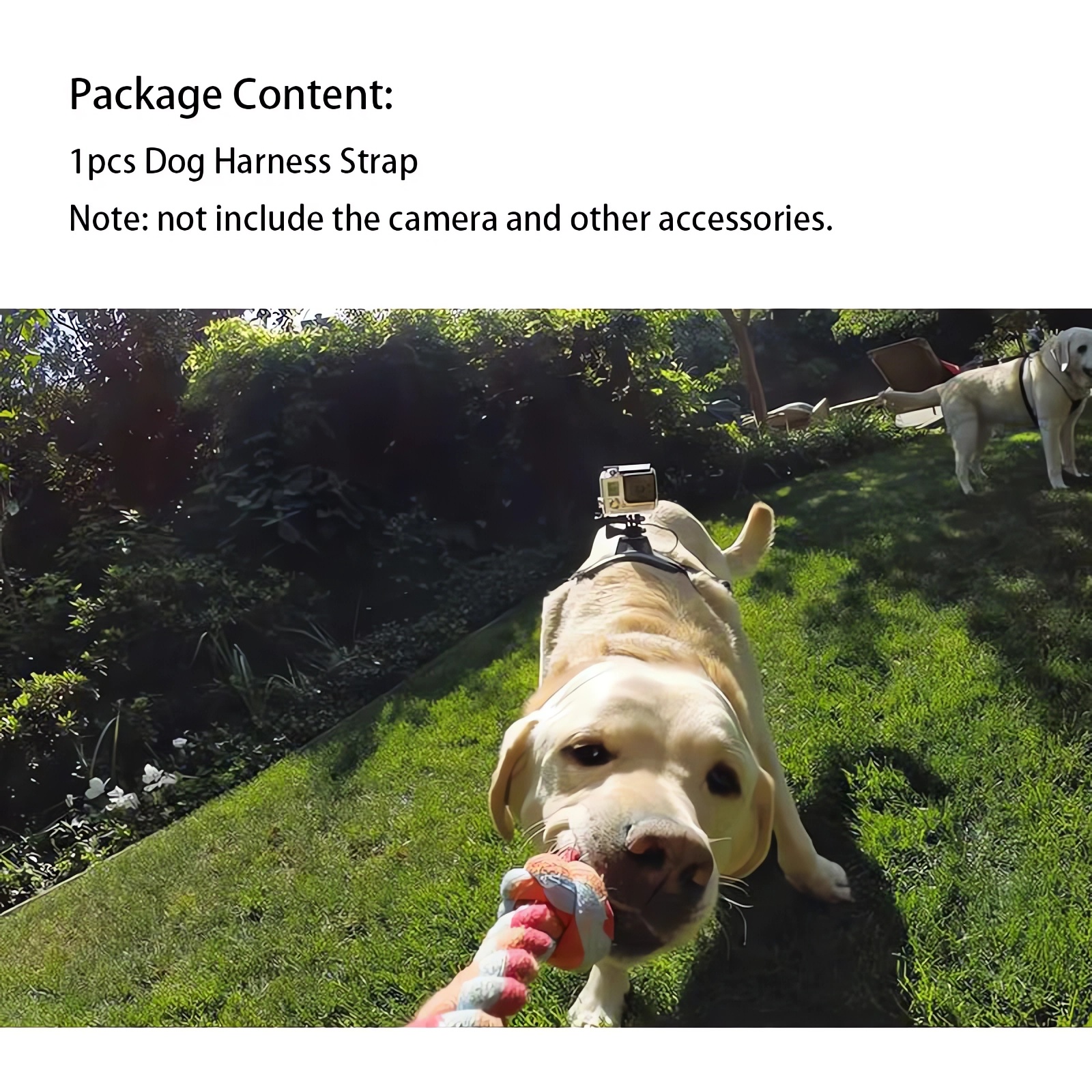 Banda de perro ajustable para Gopro hero 12 11 10 9 8 7 6 5 4 arnés de perro correa de cinturón para el pecho soporte de montaje para cámara deportiva para Xiaoyi