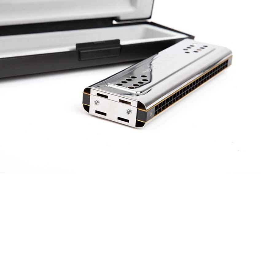 Swan Harmonica Double Tone 24 Double Holes Tremolo C & G Key Mouth Organ Wind Musical Instrument Kids & Adult