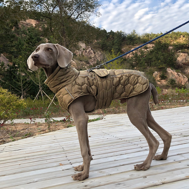 Vêtements chauds d'hiver pour chiens, combinaison de neige épaisse et réfléchissante, doudoune pour chiens de grande race, Parkas, vêtements pour Whippet Greyhound
