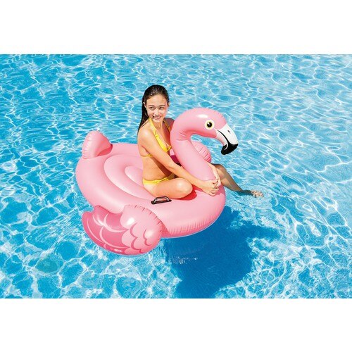 Flamingo Rider-The Tutmaçl island