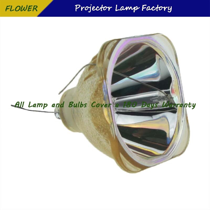 Dt00731 180 dages garanti projektor bare lampe til hitachi cp -s240/ cp -s245/ cp -x250/ cp -x255/ ed -s8240/ ed -x8250/ ed -x8255