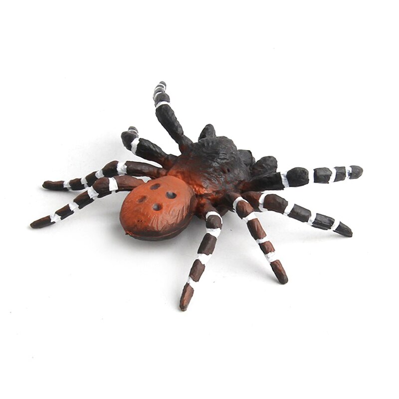 1 stücke Künstliche Spinne Halloween Dekoration Simulierte Spinne Modell Realistische Kunststoff Spinne Figuren Kinder Pädagogisches Spielzeug