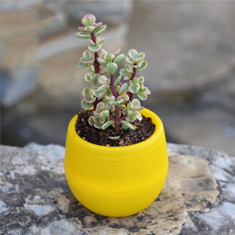 6 -farve mini-urtepotter indendørs have til kontordekoration eller sukkulente planter desktop-urtepotter hjemmetilbehør: Gul